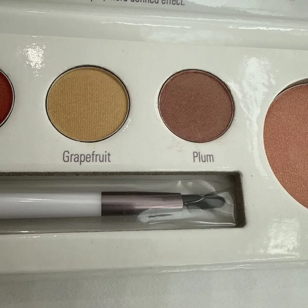 Sheer Cover Studio NEW Lips Eyes Cheek Palette DISCONTINUED Grapefruit & Plum